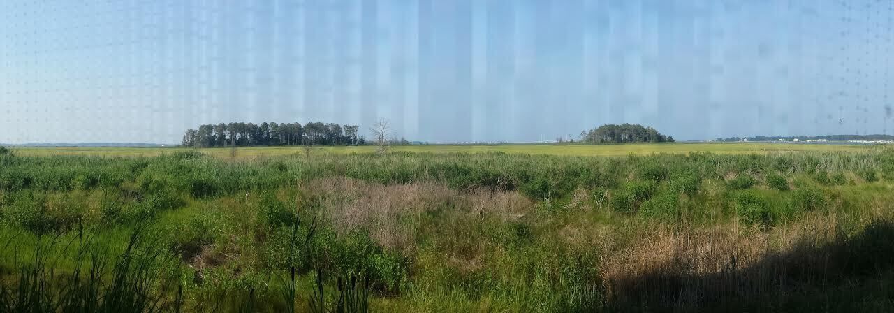 Photo of Outdoor in Ocean View