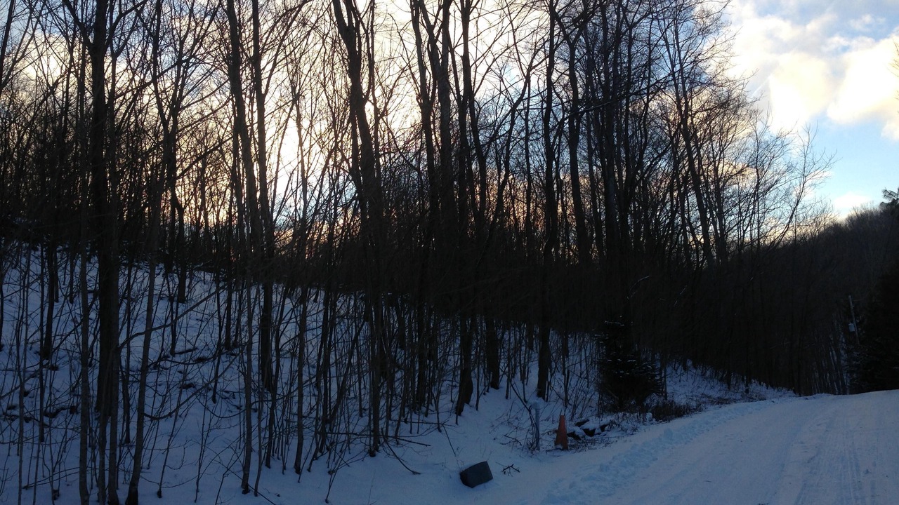 Photo of Others in Snowshoe