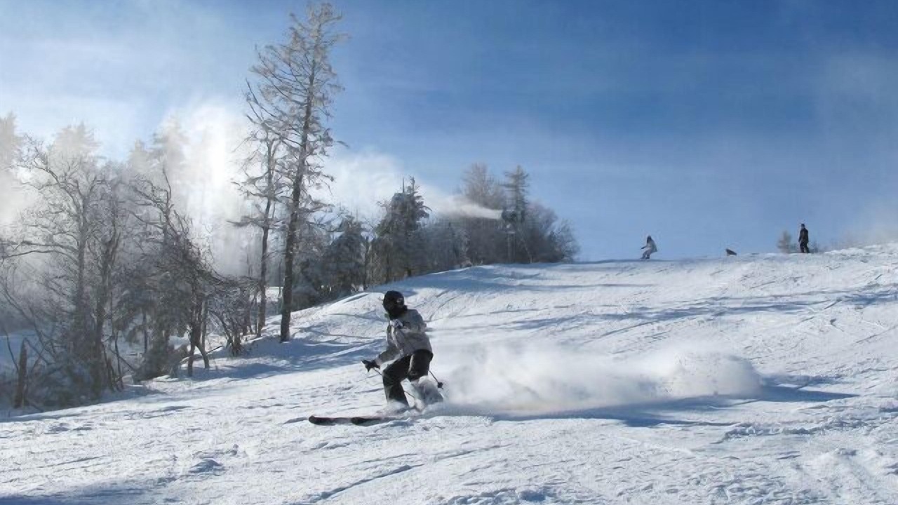 Photo of Others in Snowshoe