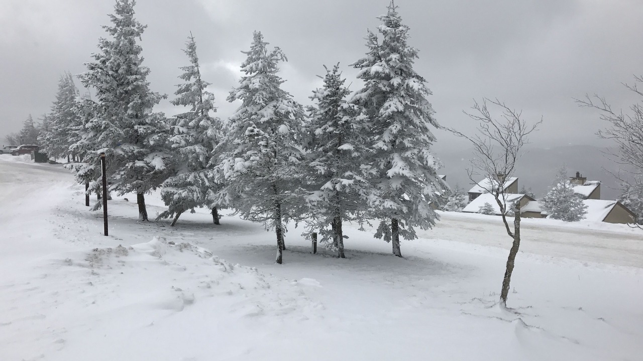 Photo of Others in Snowshoe