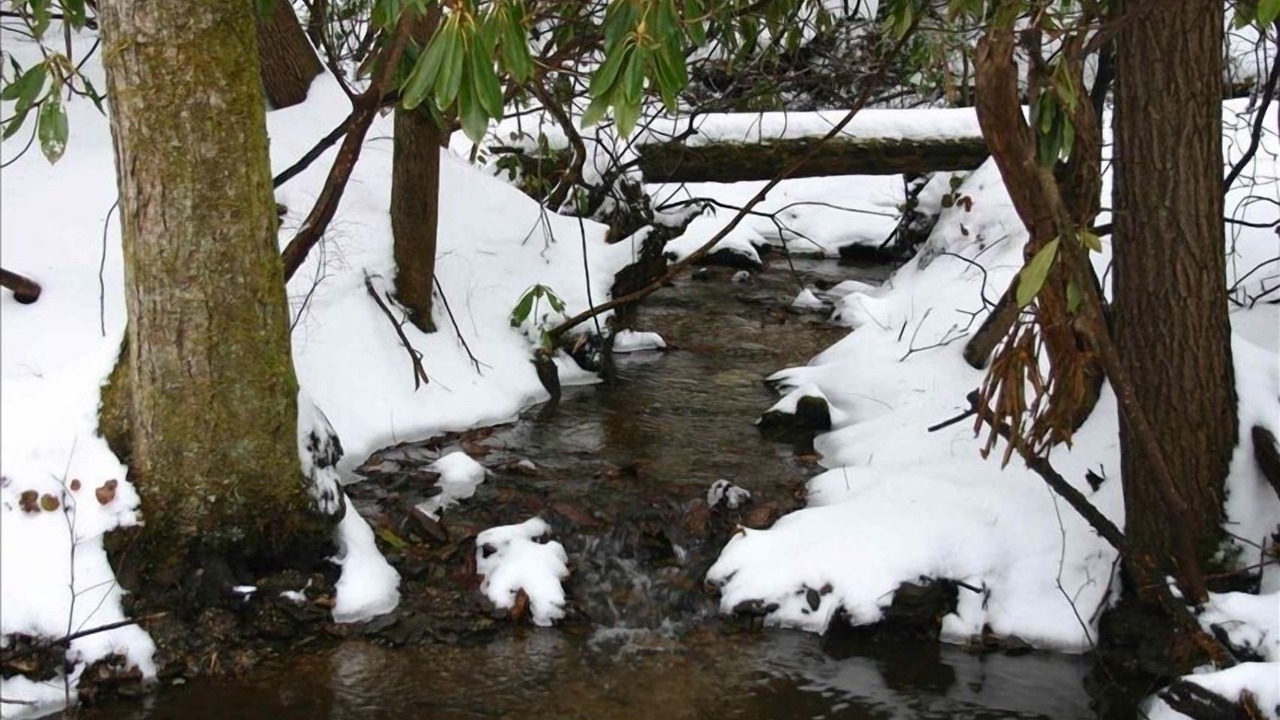Photo of Others in Cedar Mountain