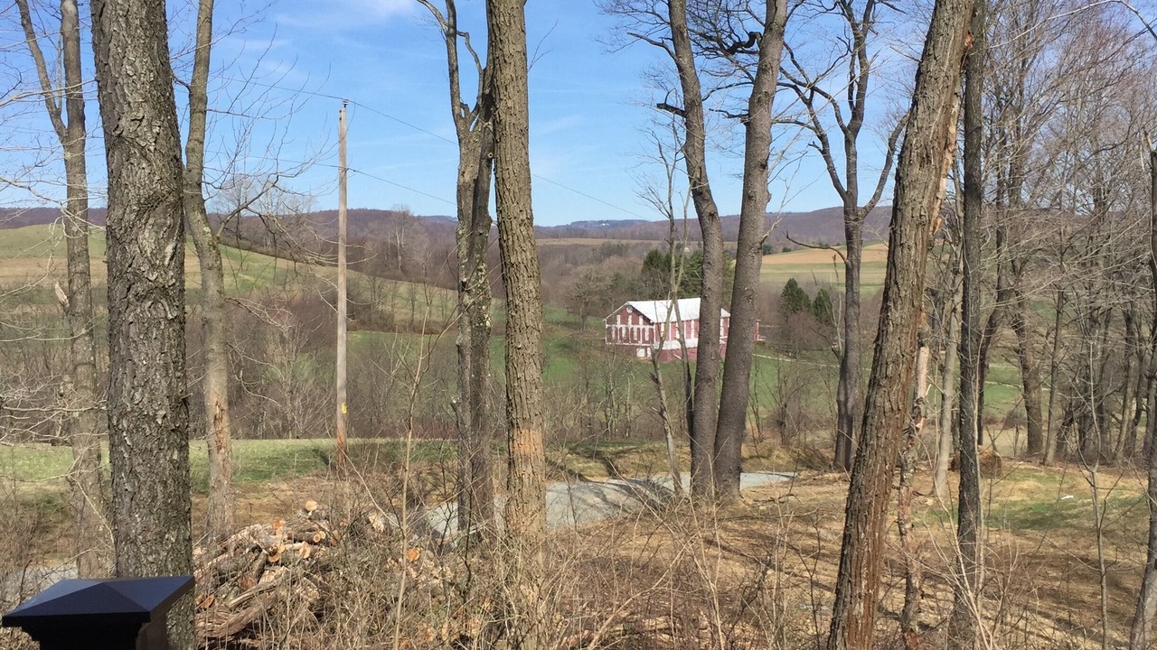 Photo of Others in Rockwood