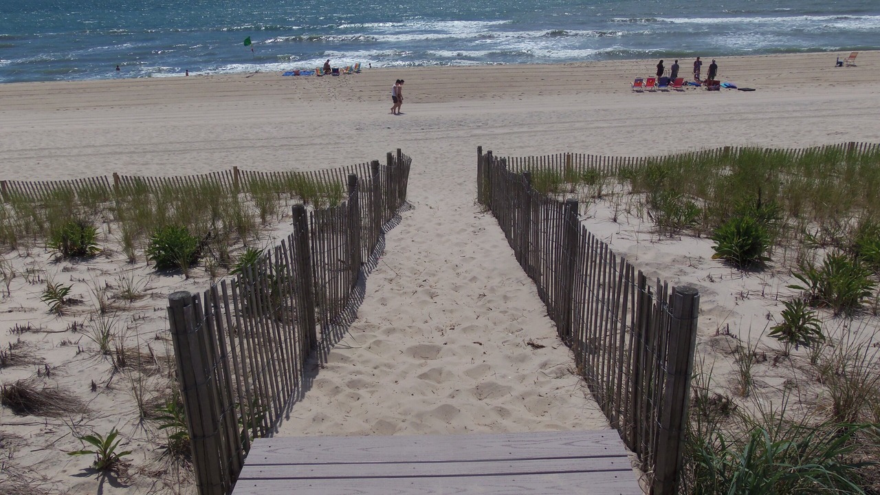 Photo of Others in Surf City
