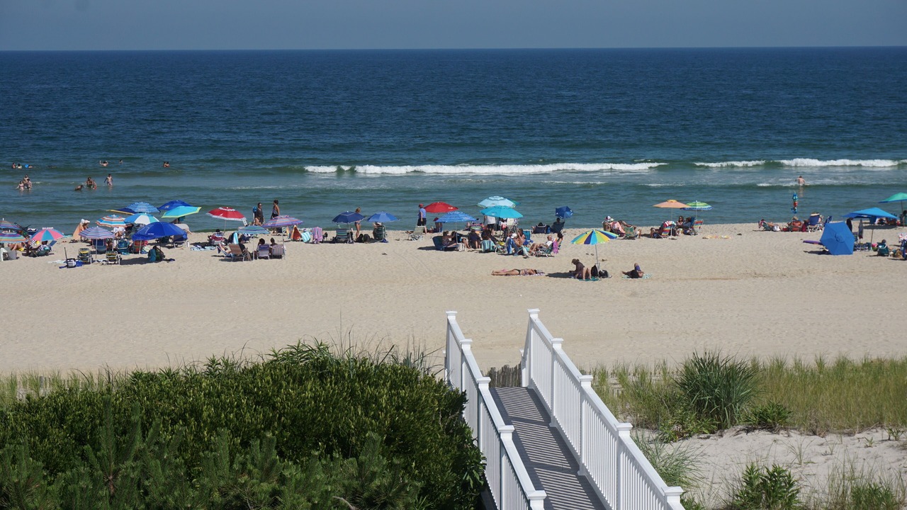 Photo of Others in Surf City
