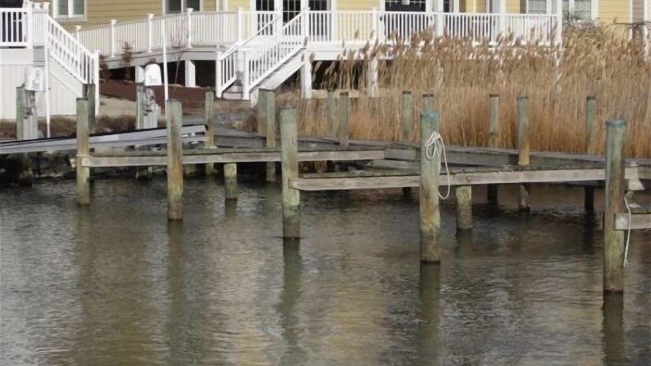 Photo of Outdoor in Heron Harbour Isle
