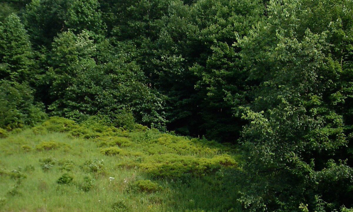 Photo of Others in Dailey