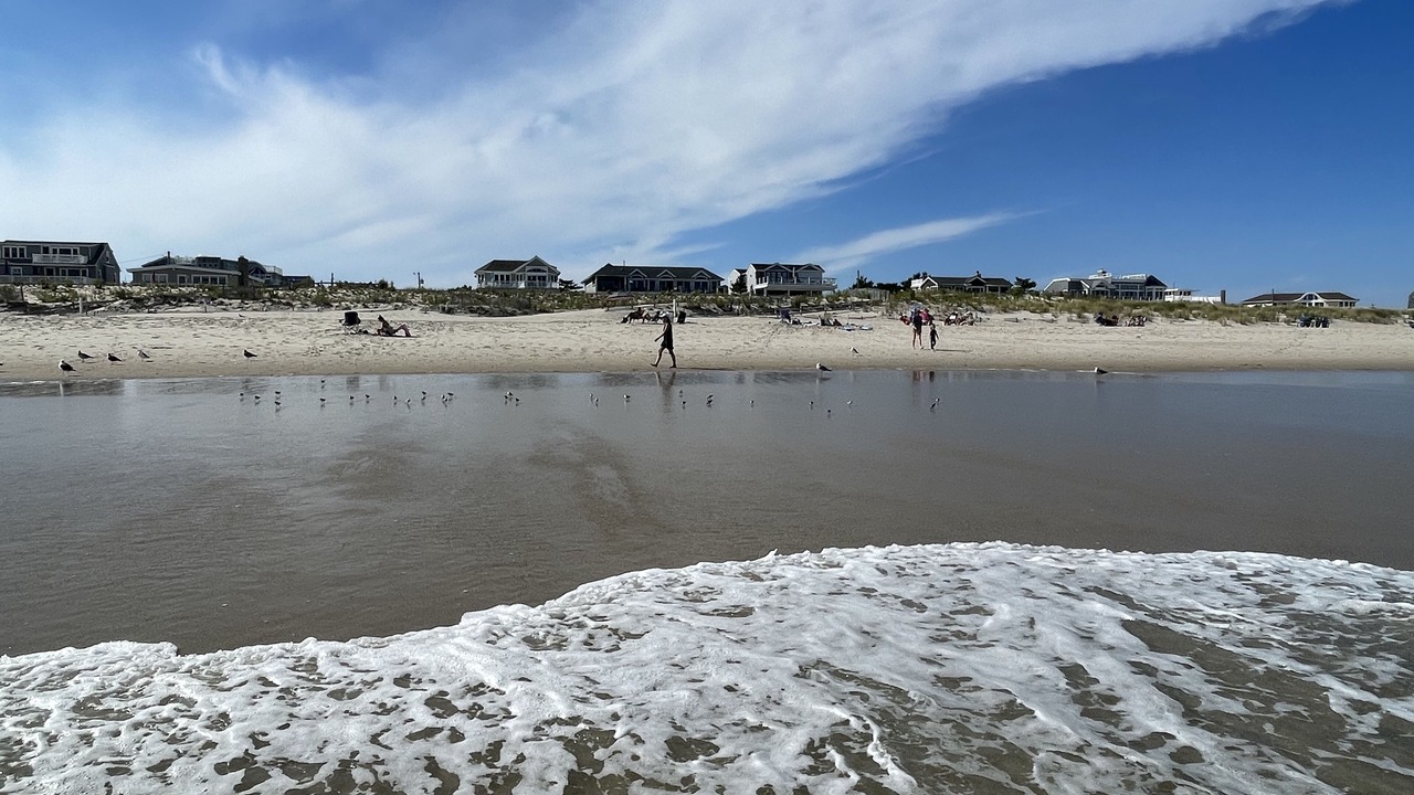 Photo of Others in Surf City