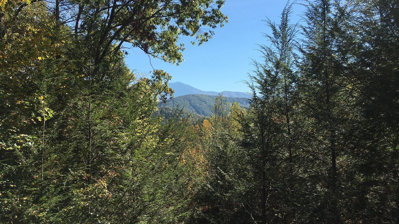 Photo of Others in Gatlinburg