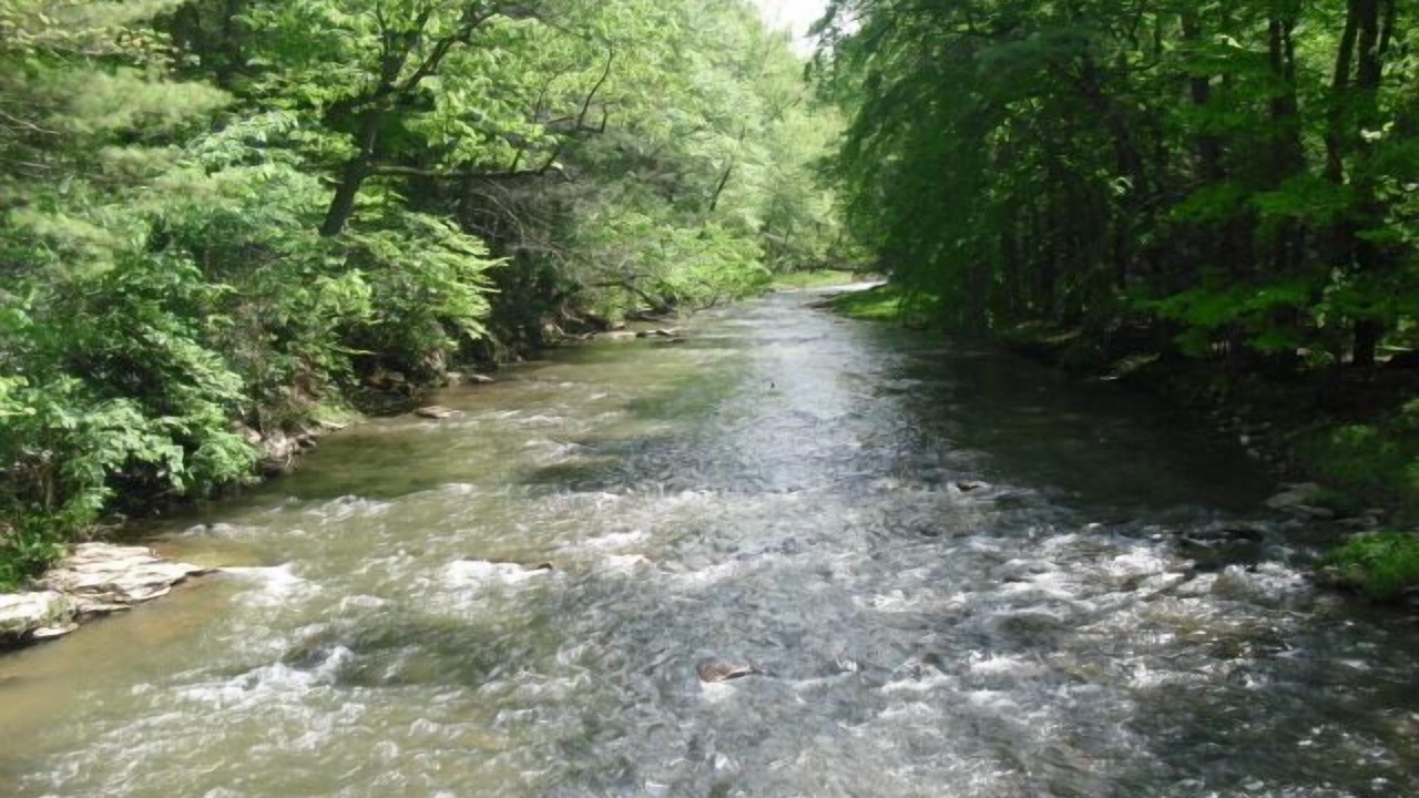 Photo of Others in James Creek