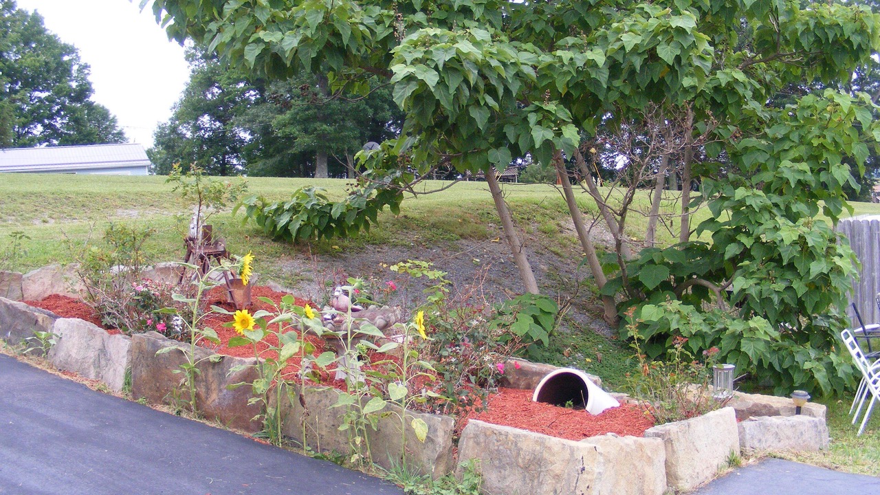 Photo of Outdoor in Hico