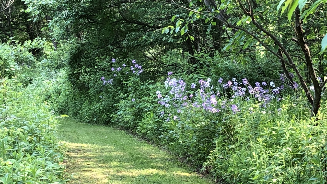 Photo of Outdoor in Venango Township