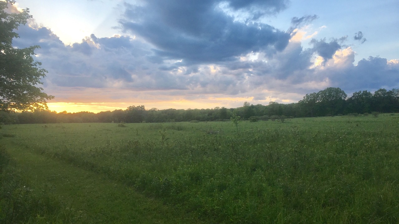 Photo of Others in Venango Township