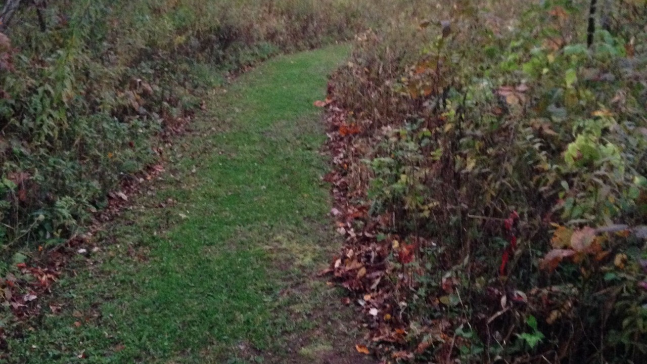 Photo of Outdoor in Venango Township