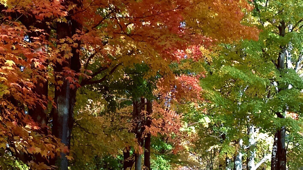 Photo of Outdoor in Branchport