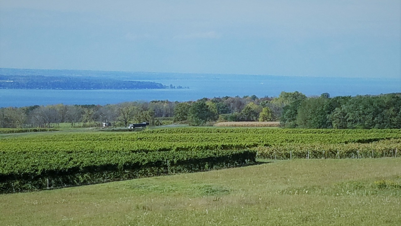 Photo of Others in Branchport
