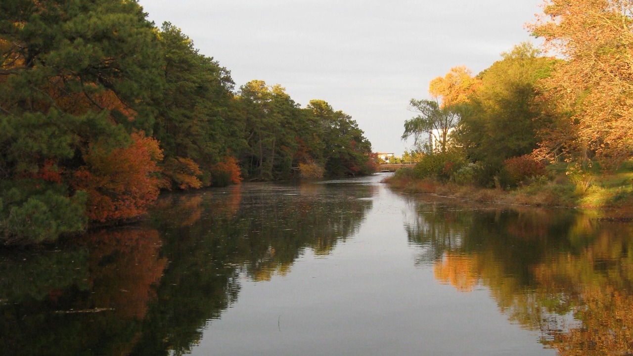 Photo of Outdoor in Rehoboth Beach