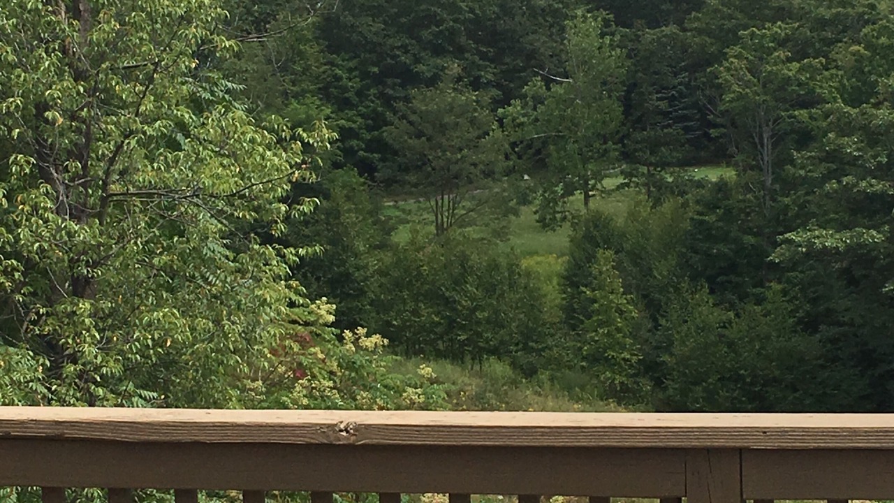 Photo of Others in Jefferson Township