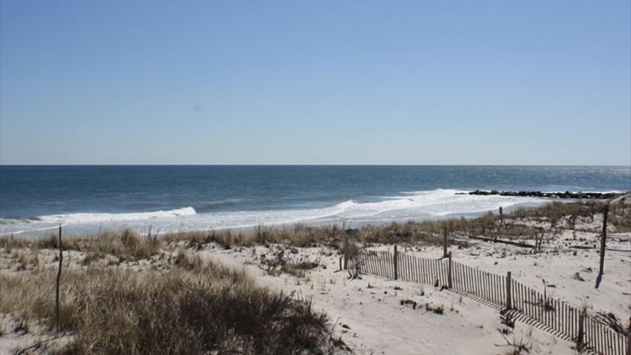 Photo of Others in South Beach Haven