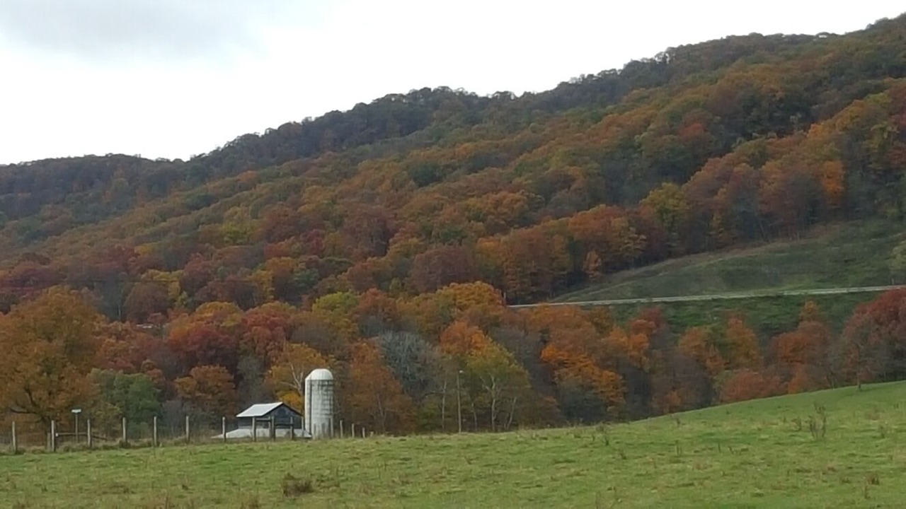 Photo of Outdoor in Lahmansville