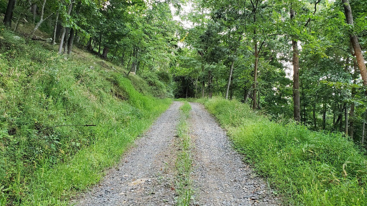 Photo of Outdoor in Lahmansville