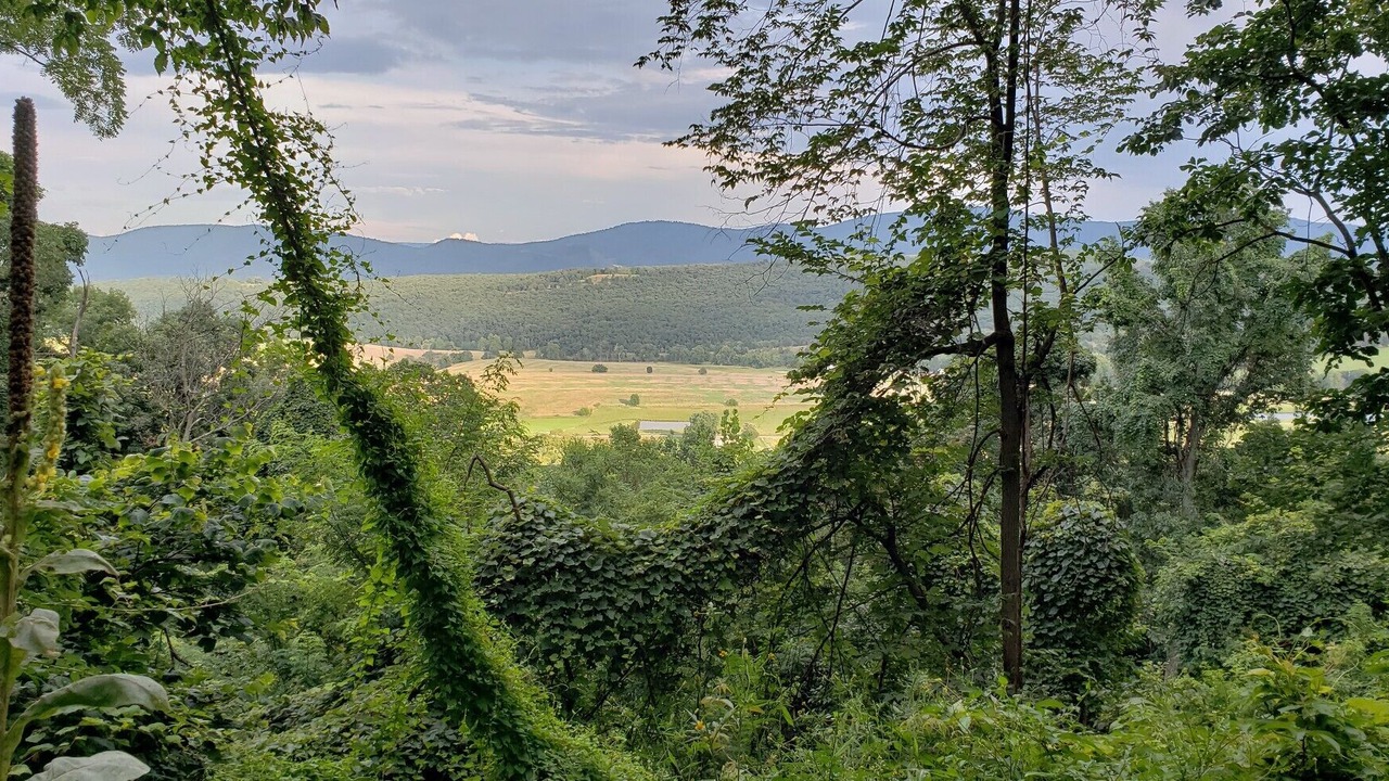 Photo of Outdoor in Lahmansville