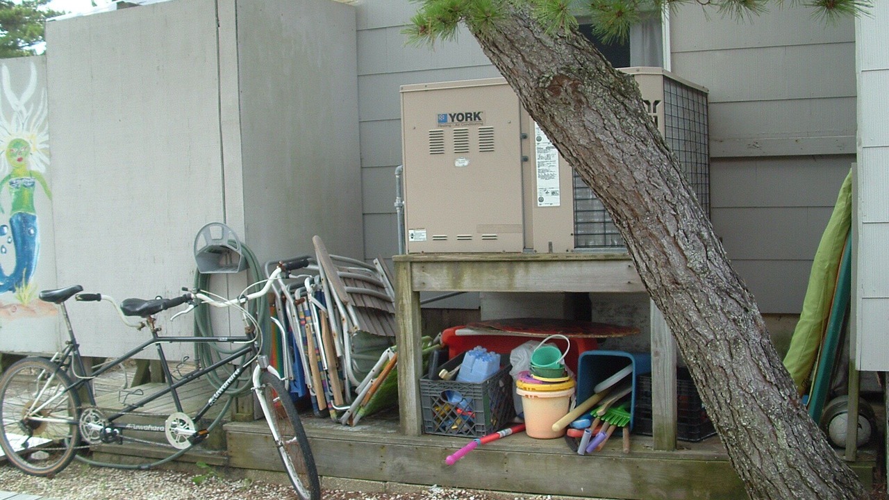Photo of Others in Harvey Cedars