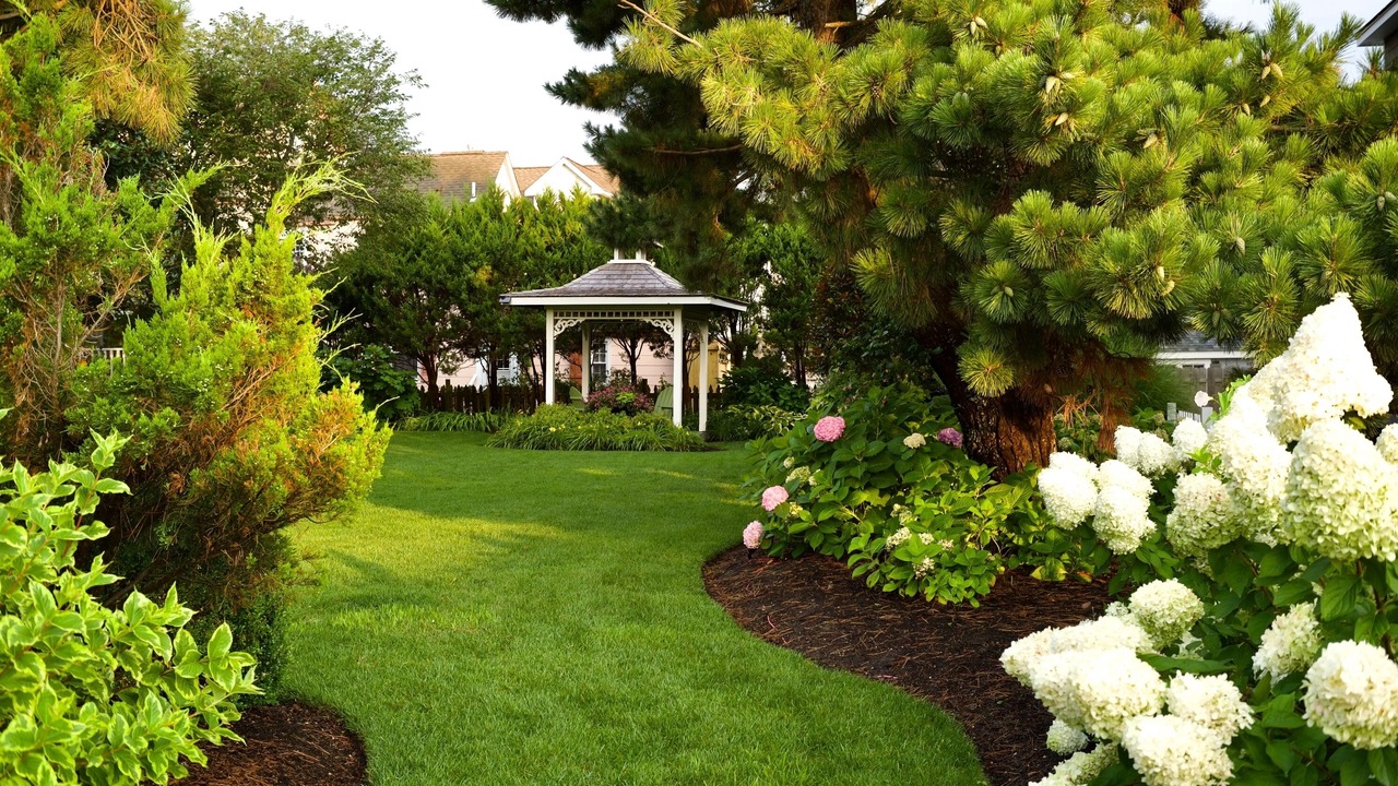 Photo of Outdoor in Beach Haven