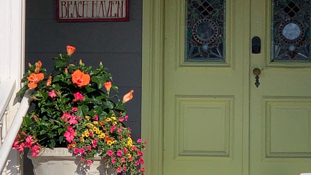 Photo of Outdoor in Beach Haven