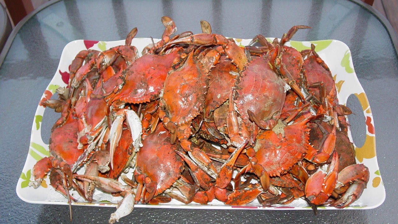 Photo of Others in North Ocean City