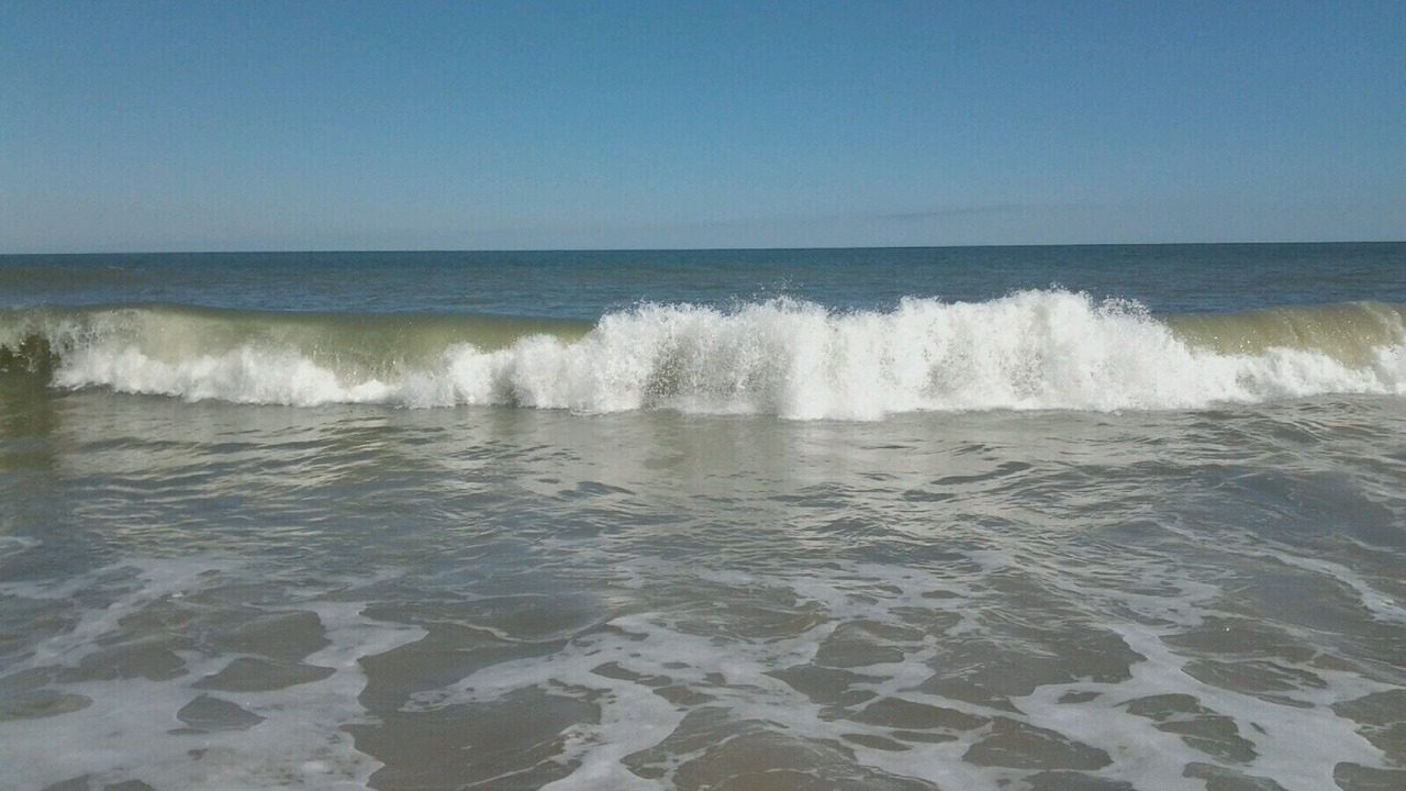 Photo of Others in North Ocean City