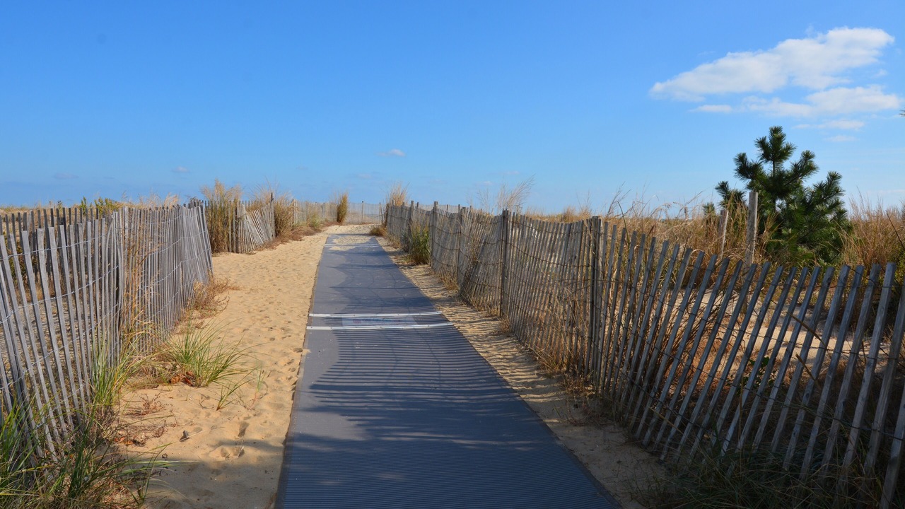 Photo of Others in Rehoboth by the Sea