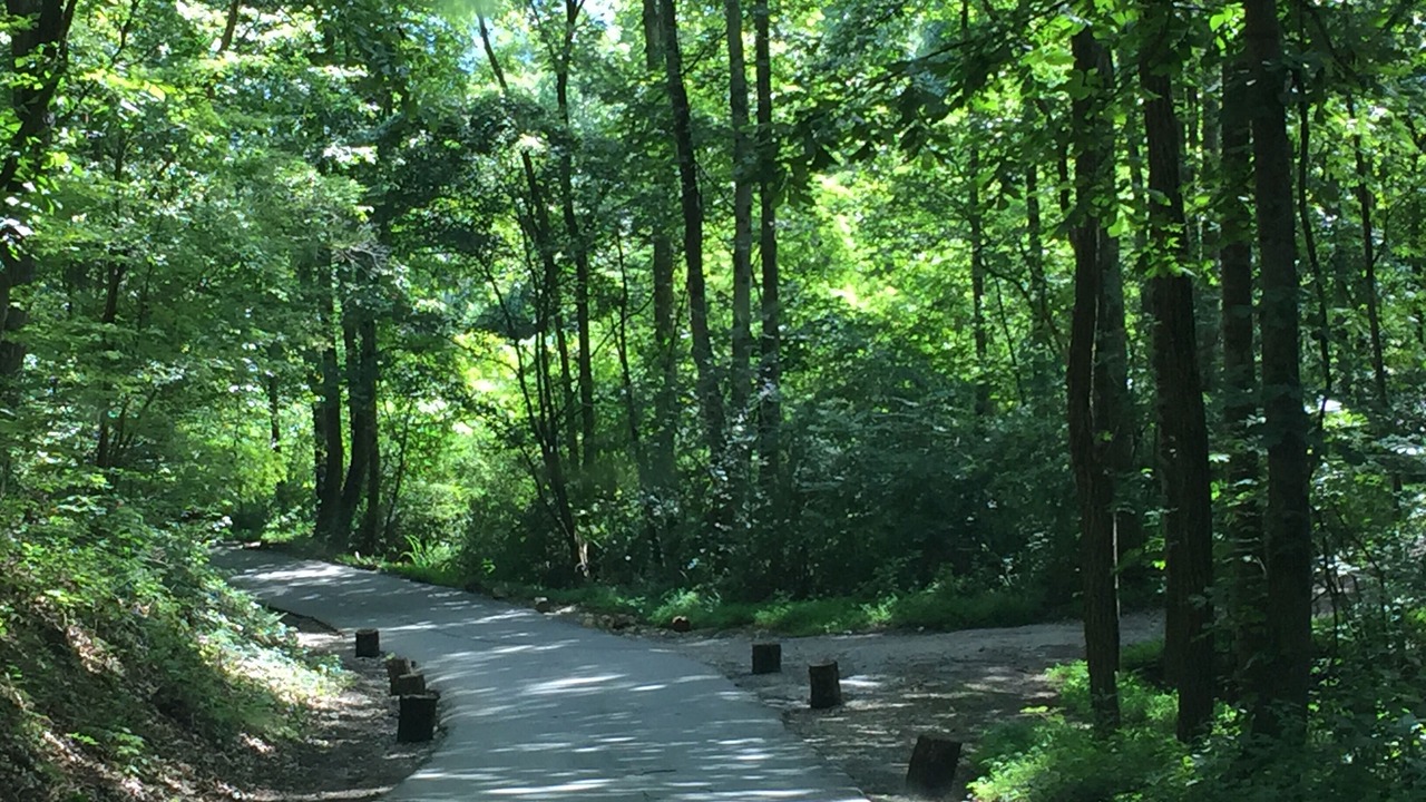Photo of Others in Hiawassee