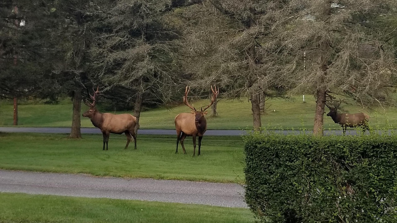 Photo of Outdoor in Byrnedale