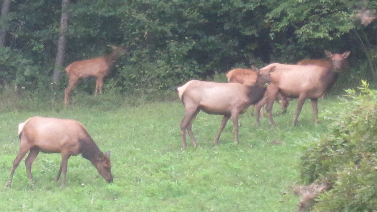 Photo of Outdoor in Byrnedale