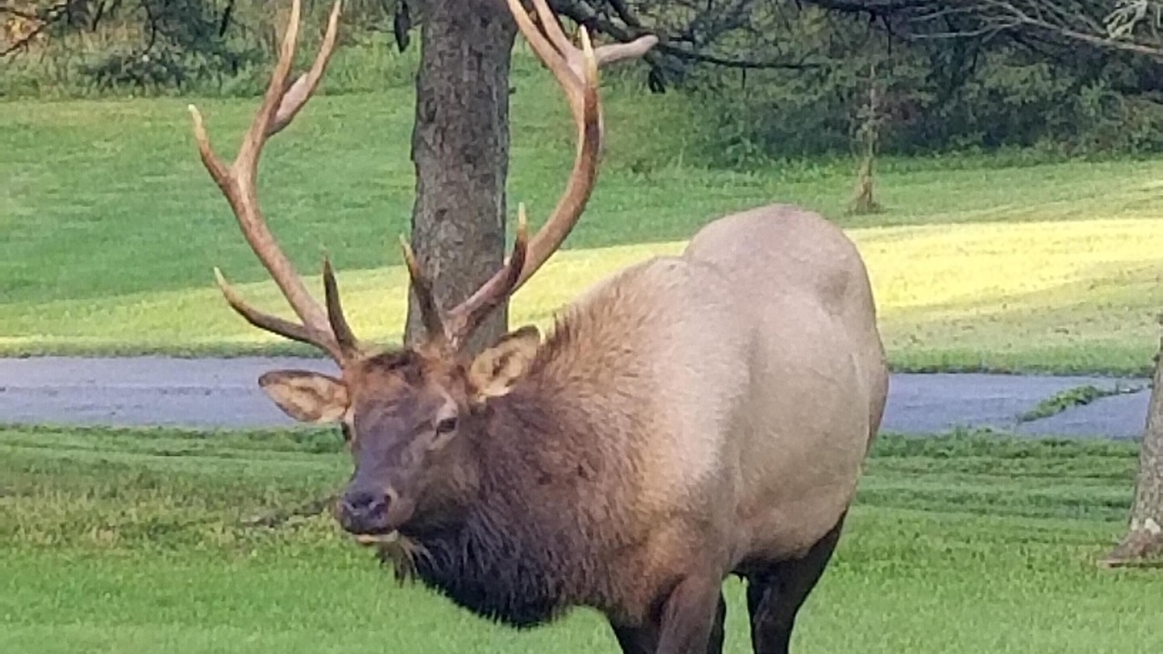 Photo of Others in Byrnedale