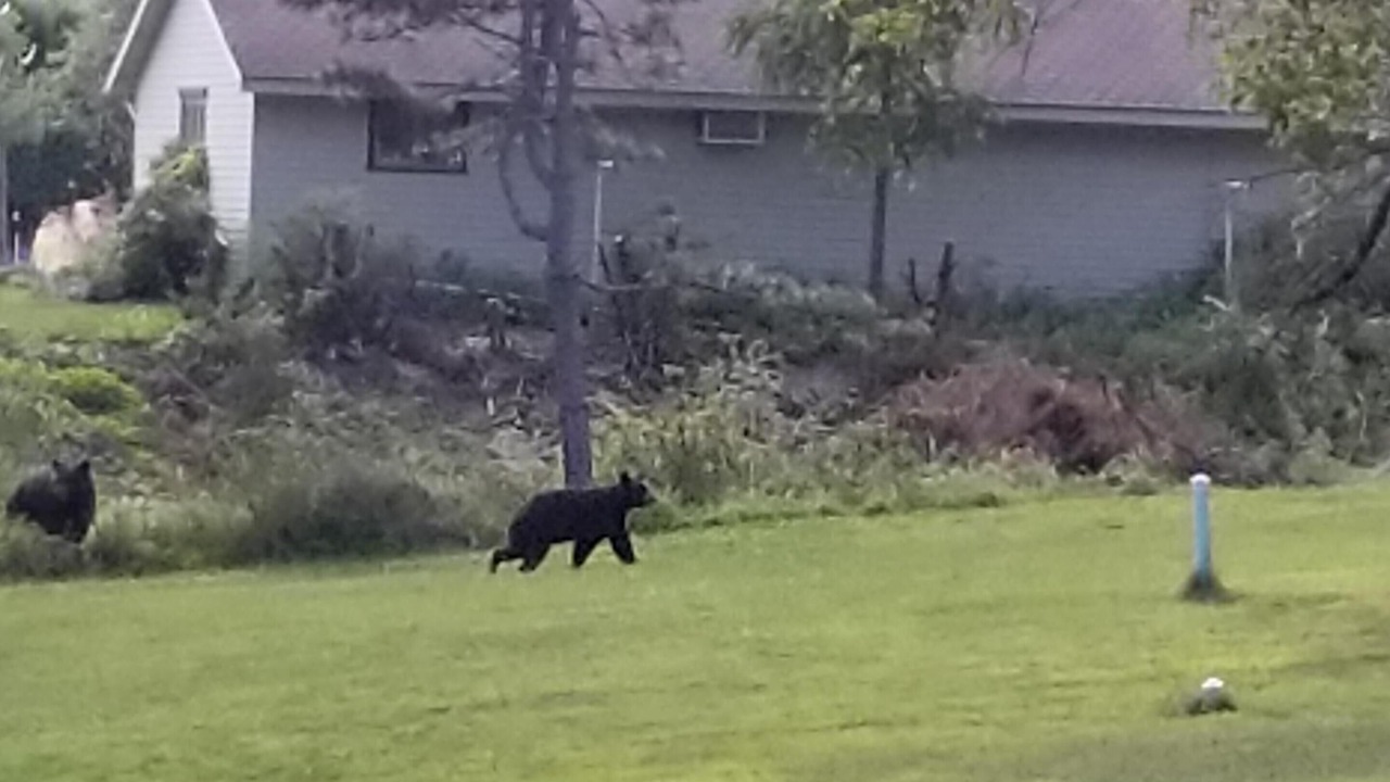 Photo of Others in Byrnedale