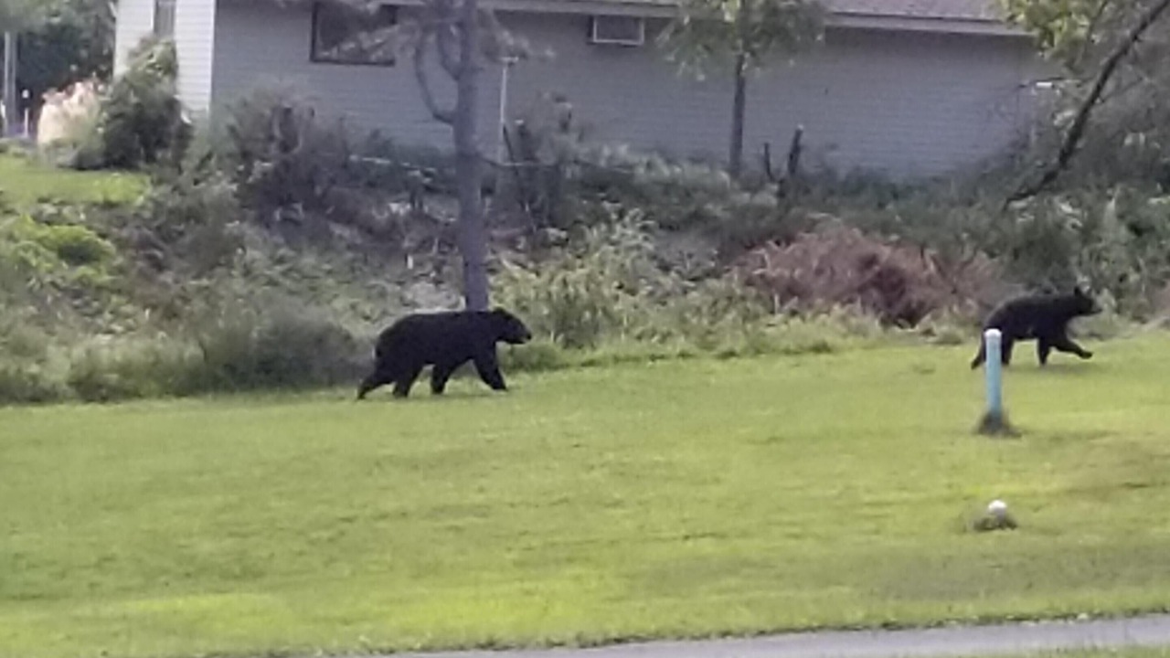 Photo of Outdoor in Byrnedale