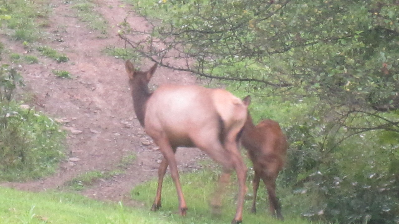 Photo of Outdoor in Byrnedale
