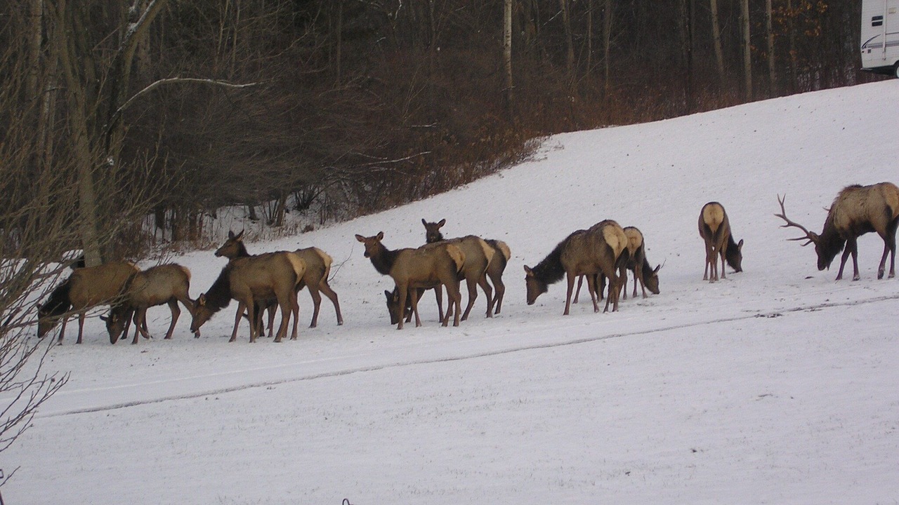 Photo of Others in Byrnedale