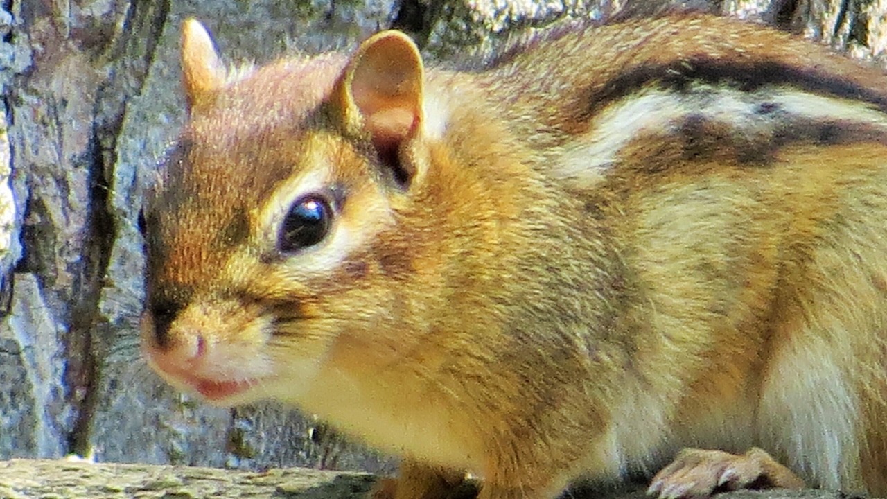 Photo of Others in James Creek