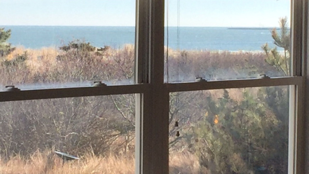 Photo of Others in Townsend's Inlet