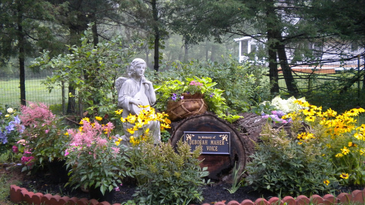 Photo of Outdoor in New Hope