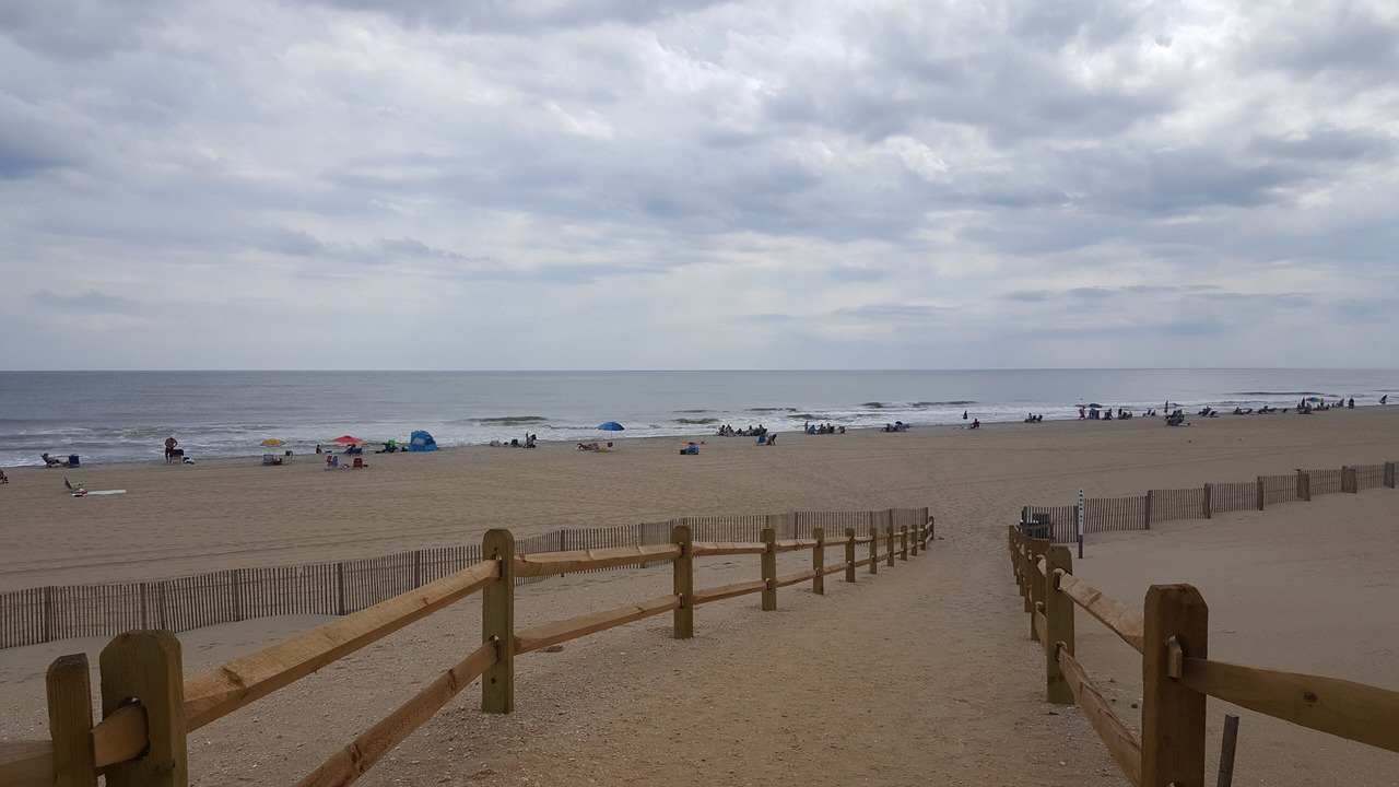 Photo of Others in Beach Haven