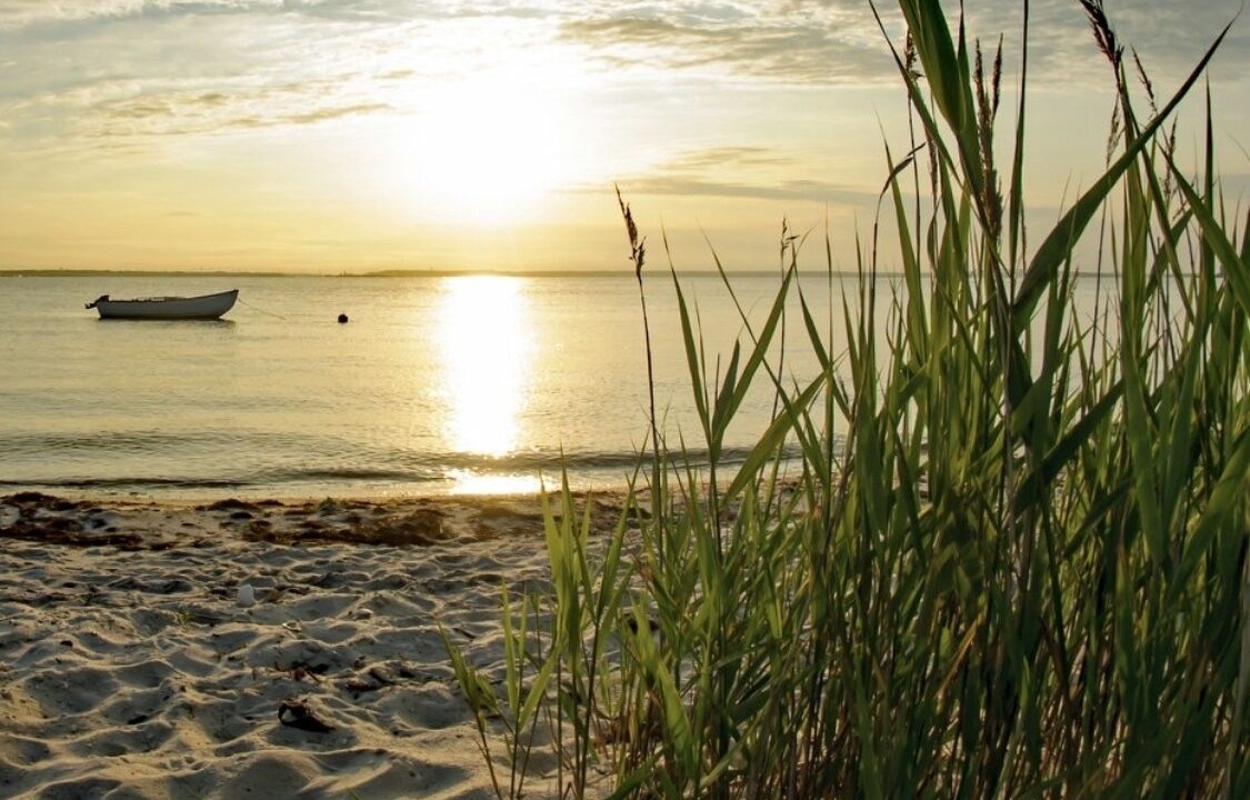 Photo of Others in Ortley Beach