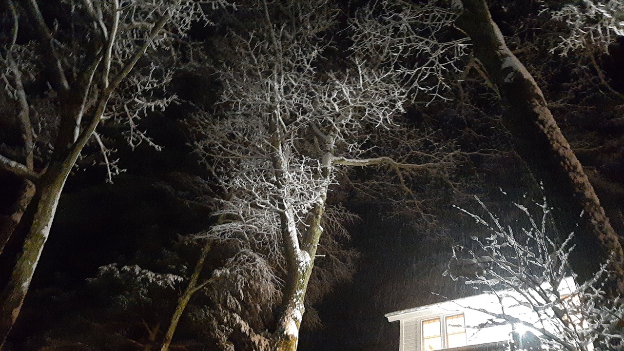 Photo of Outdoor in Equinunk