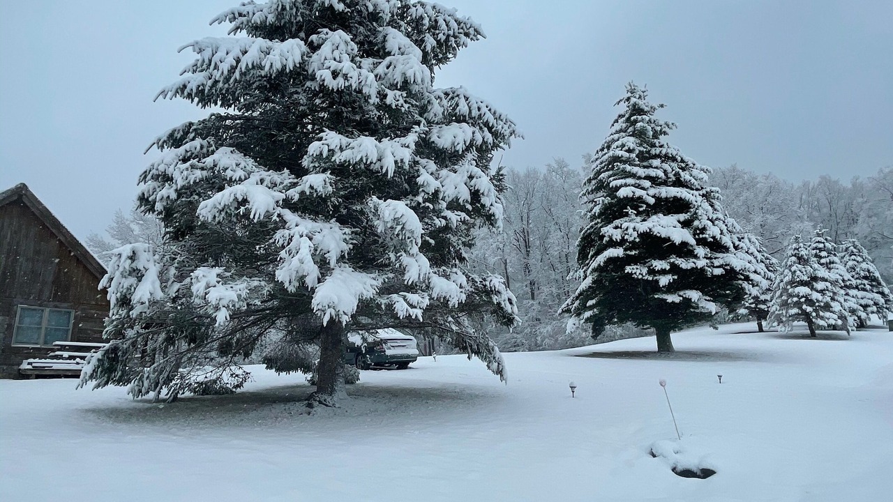 Photo of Outdoor in Dryfork