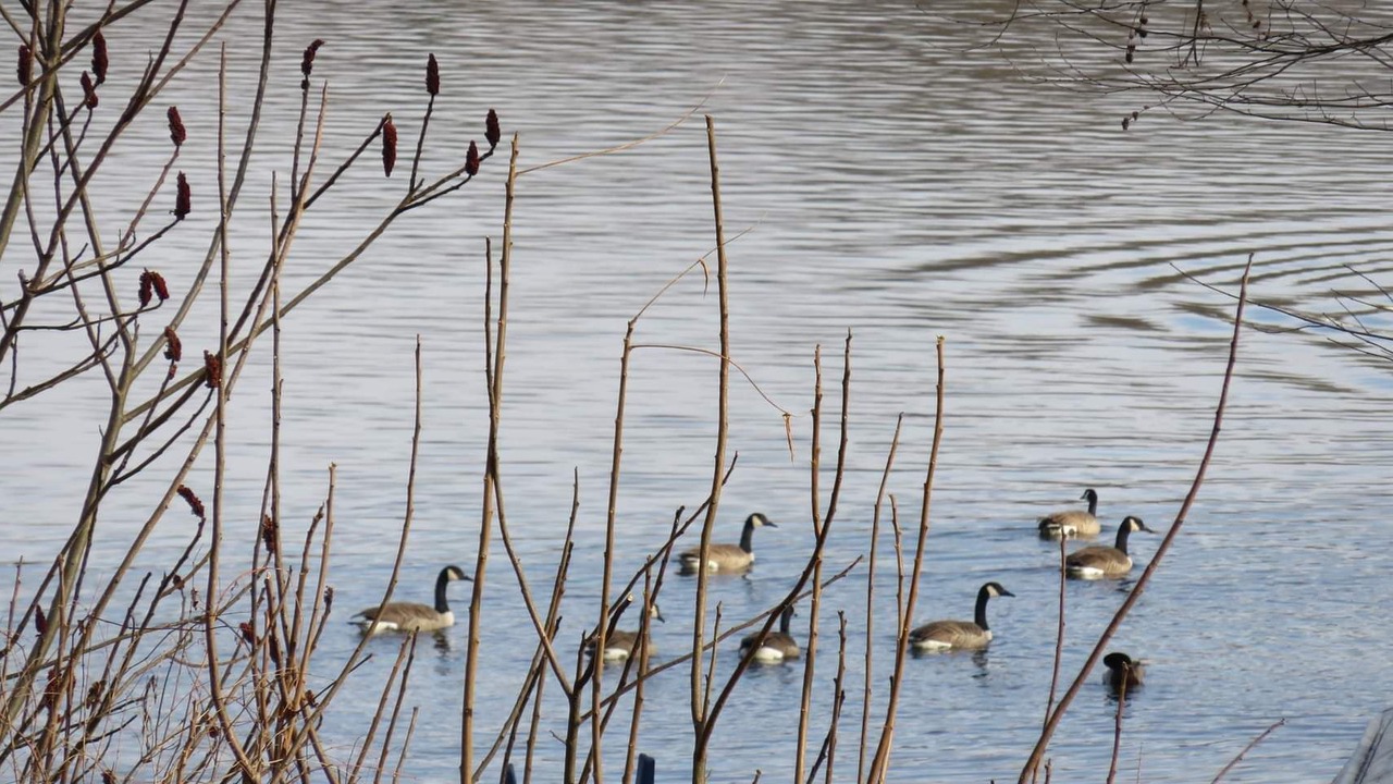 Photo of Others in Canadohta Lake