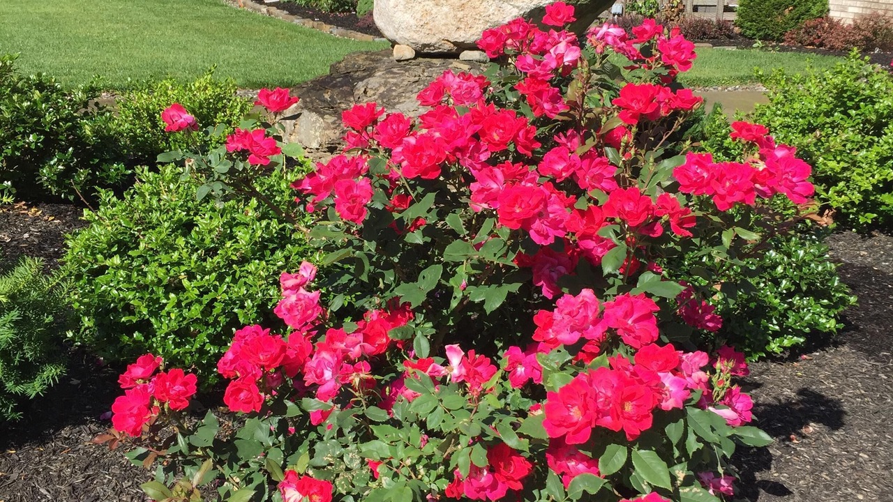 Photo of Outdoor in Montague