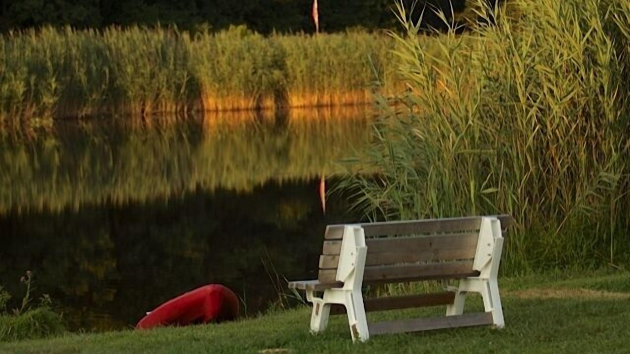 Photo of Outdoor in Lewisville