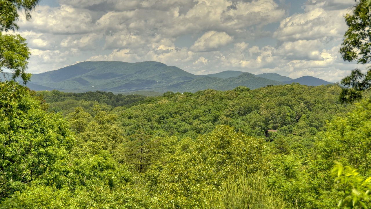 Photo of Outdoor in McCaysville